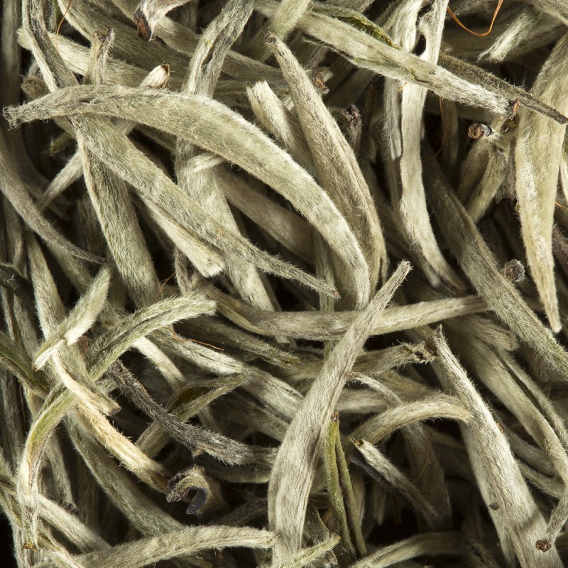 tea-from-ceylan-silver-buds.jpg