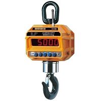 Крановые весы CAS Caston-III 10 THD
