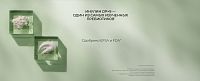 Функциональный напиток BotanIQ Prebiotic Shot для улучшения работы кишечника 100 мл