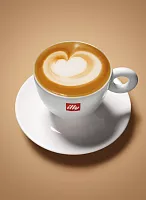 Кофе в зернах Illy Classico средней обжарки 3 кг