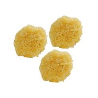 Грибы коралловые сушеные 1 кг